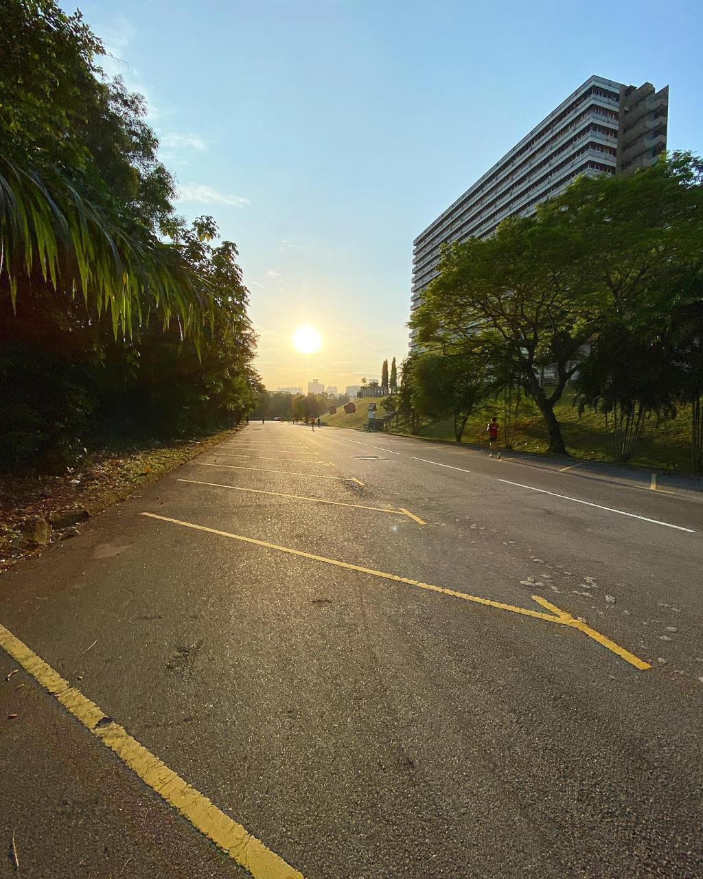 The Morning Run